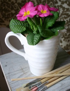 img_0958 A Primrose placed in a pitcher makes a great housewarming gift.