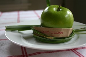 img_1513 A nest of ornamental grass blades hold a green apple and a place card.