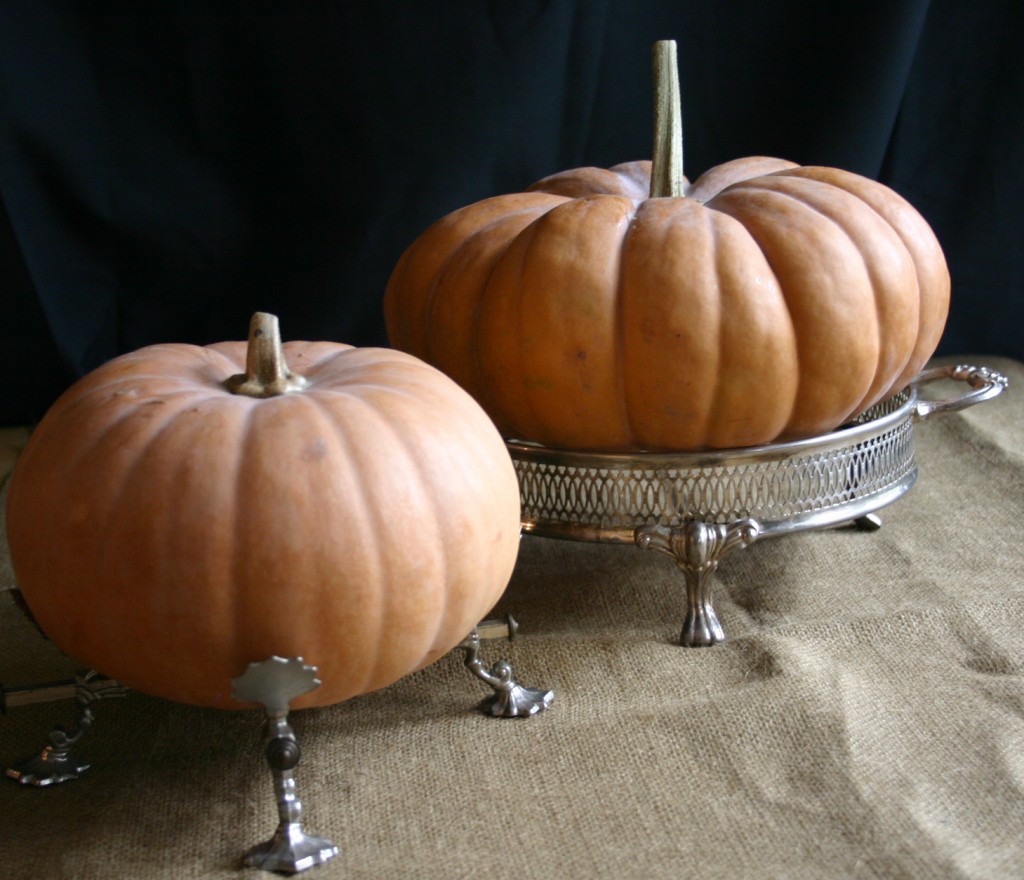 img_39812 I find heirloom pumpkins to be so striking, they deserve their own stand. Here I have repurposed some silver plated caserole stands to display my favorites.