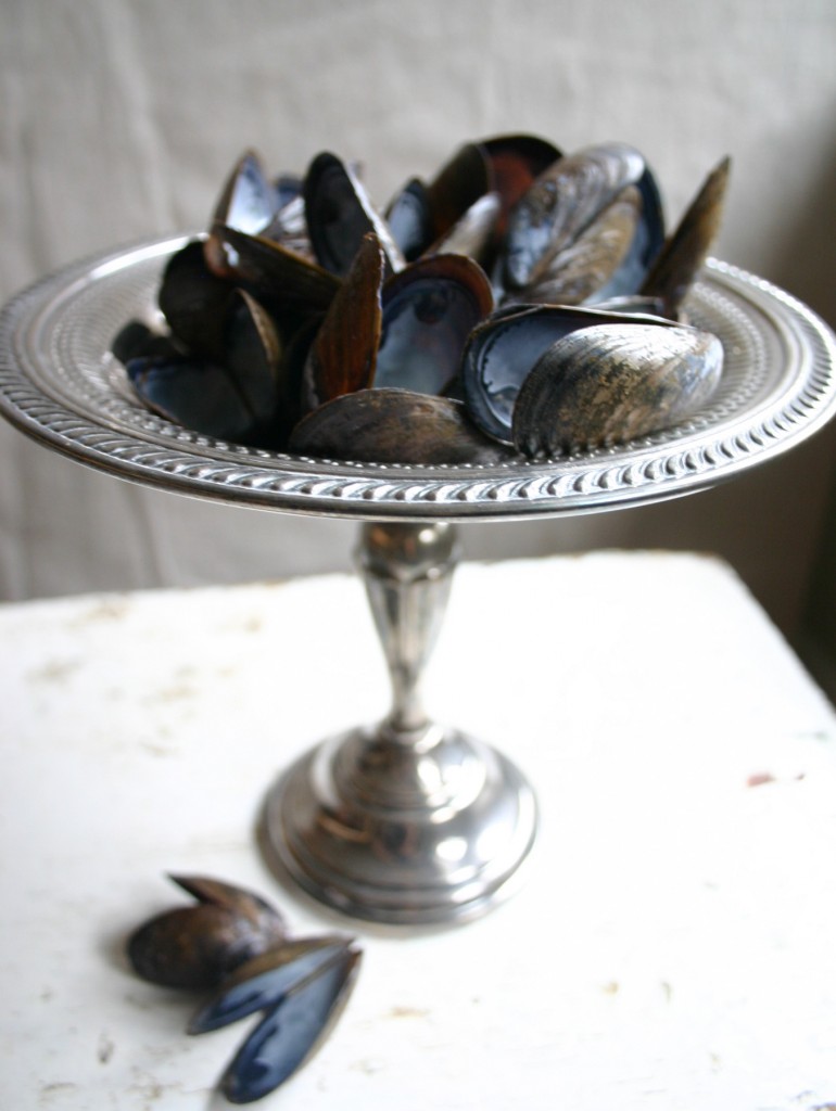img_4087 Mussel shells saved from a dinner with friends are on display in a silver compote.