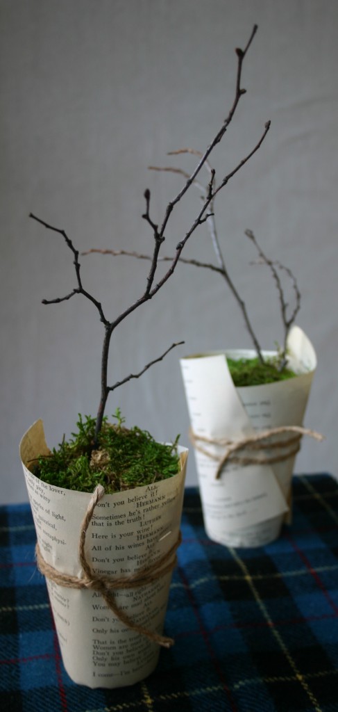 img_2411 A paper cup wrapped in book pages hold small winter