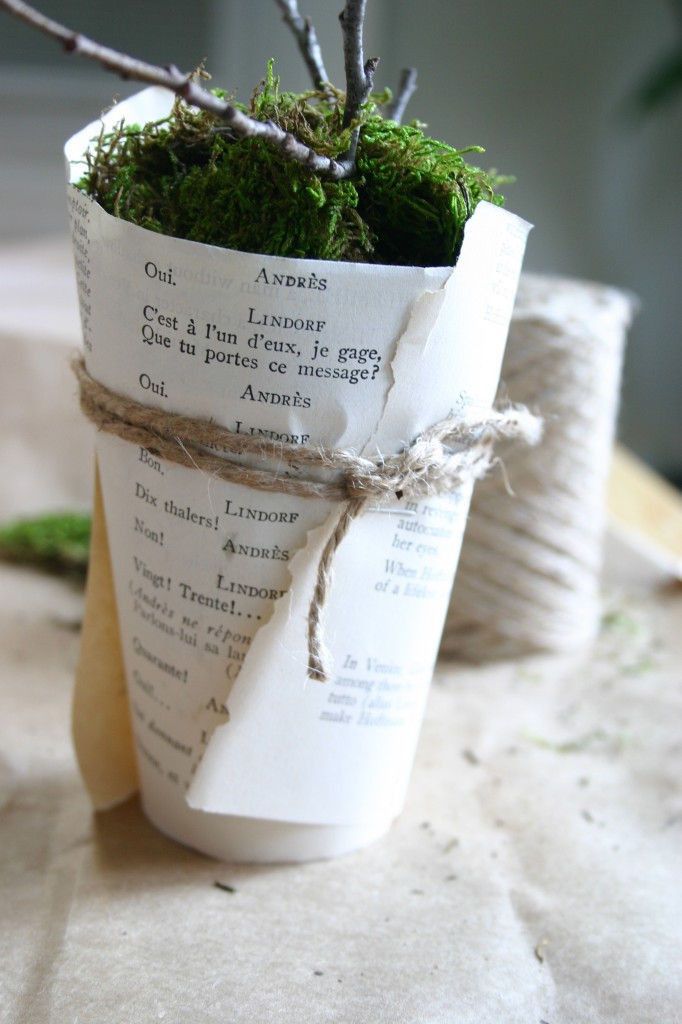 img_2439 Wrap and strand of jute around cup and tie.