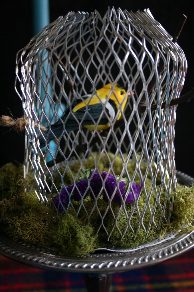 img_4561 I love creating centerpieces that trick and draw the eye in. Children love surprises like this.