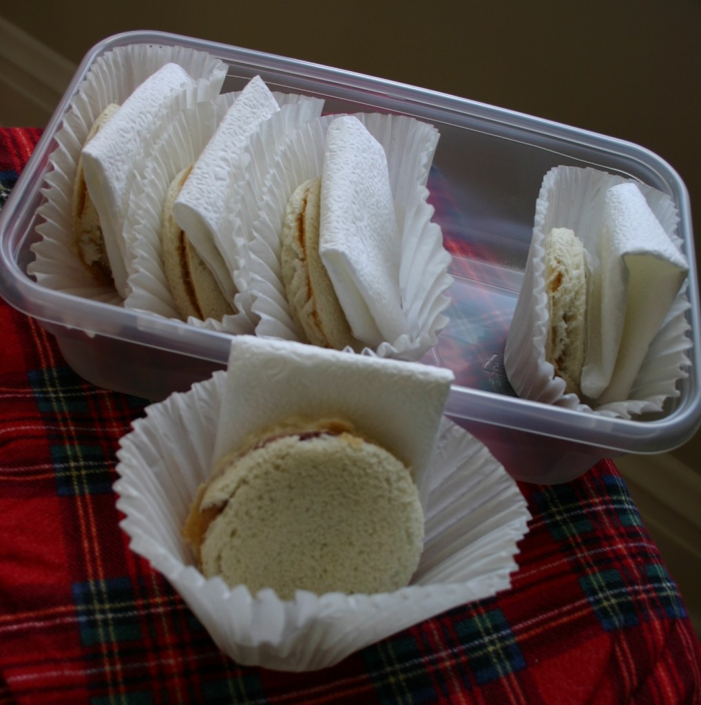 img_4900 Peanut butter and jelly sandwiches made with soft white bread and cut into circles (with the help of an upside down glass) are a break from the ordinary. I place them in extra large muffin papers and tuck a folded napkin alongside. Then they all go into a tupperware container to prevent crushing.