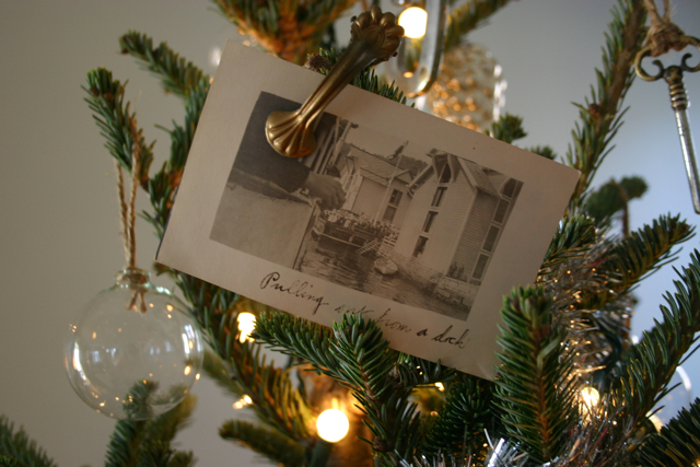 Old photographs, purchased at an estate sale years ago, are clipped to the tree with antique german curtain clips.