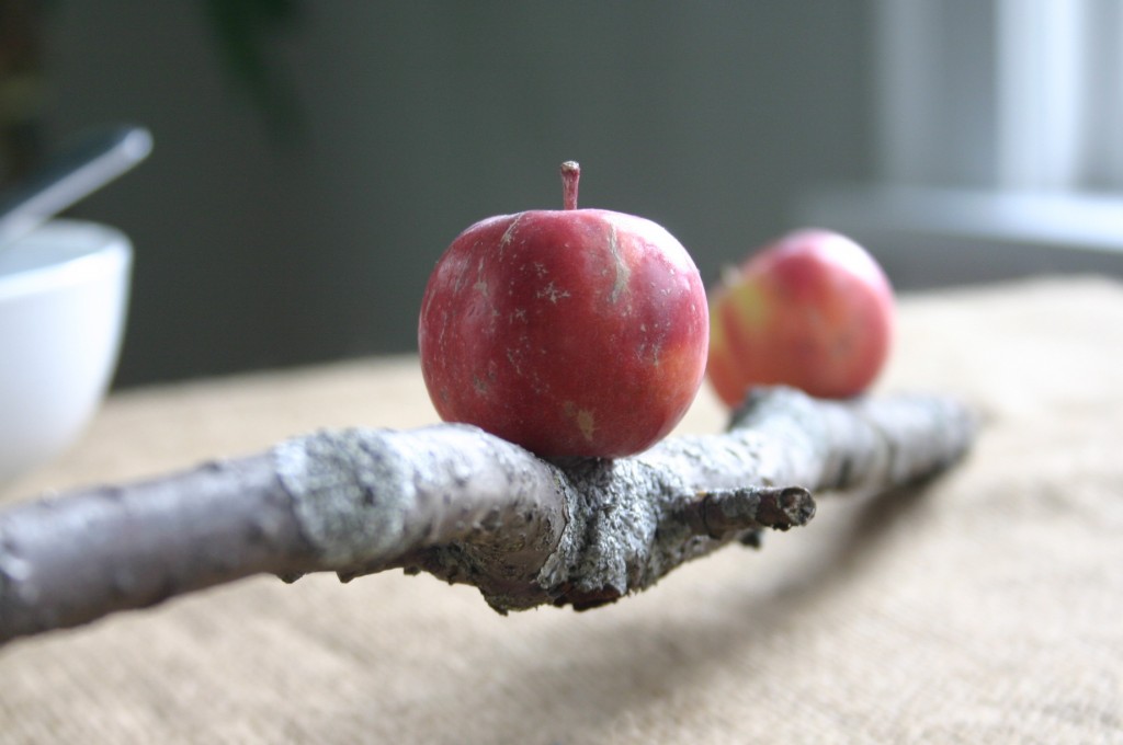img_6234 This took me about 5 minutes to make - simply apply apples to branch with hot glue.