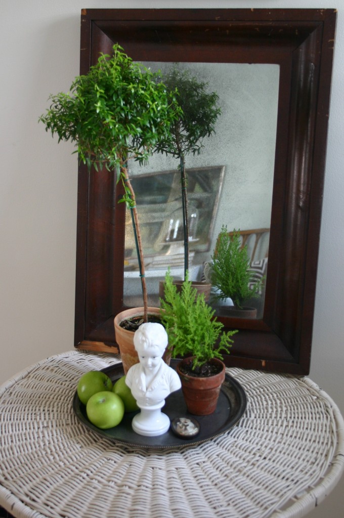 img_6362 I have always loved the look of mirrors paired with plants - placing a reflective surface behind a grouping of plants reflects light and more greenery.