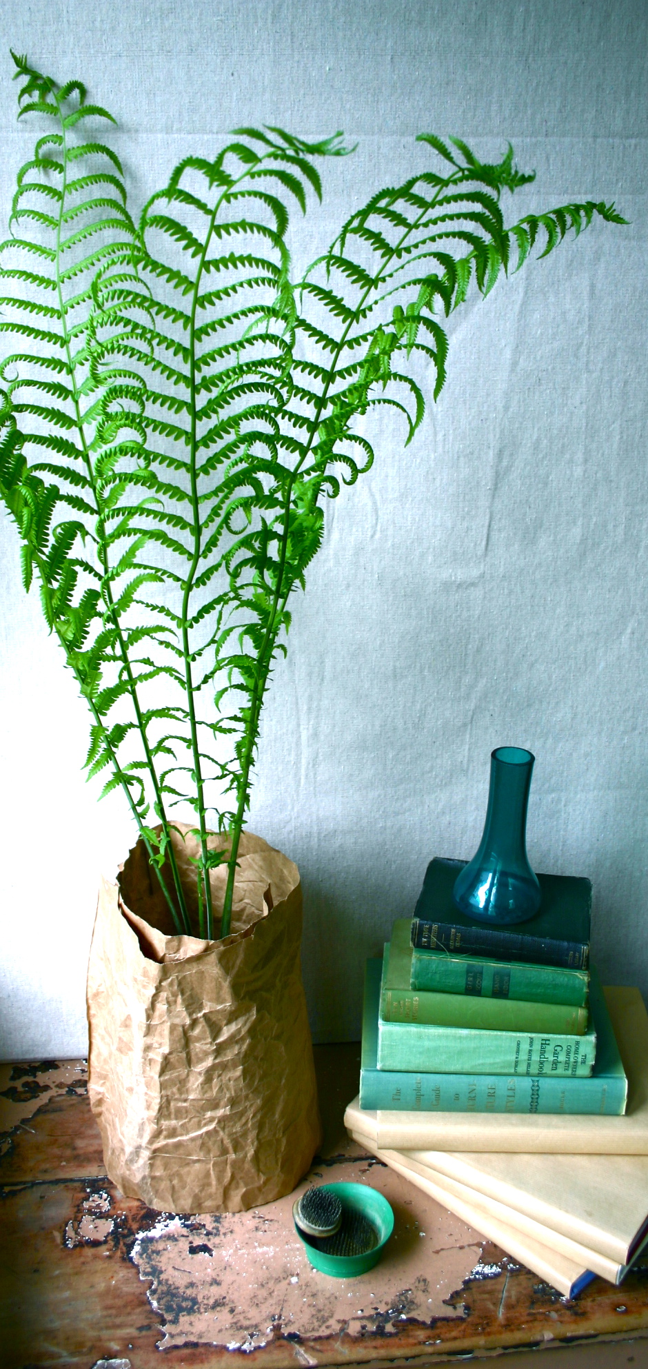 A simple paper bag wrap covers the pot of an ostrich fern - in an instant,  I had the look I wanted.