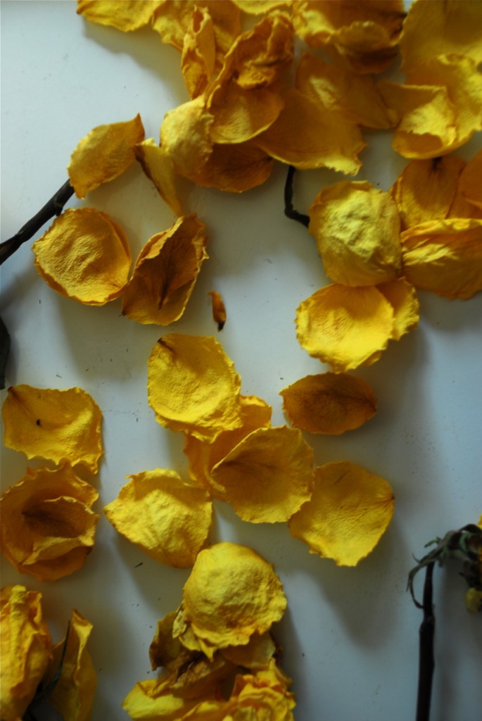 DSC_0097 Family Chic floral and gardening project.