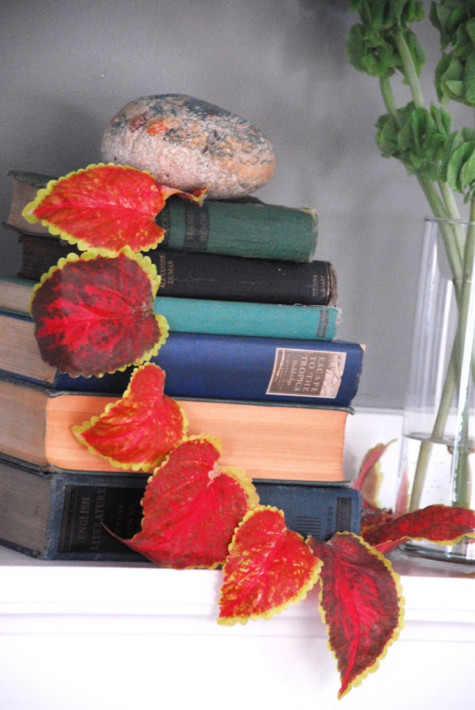 coleus close up Family Chic blog