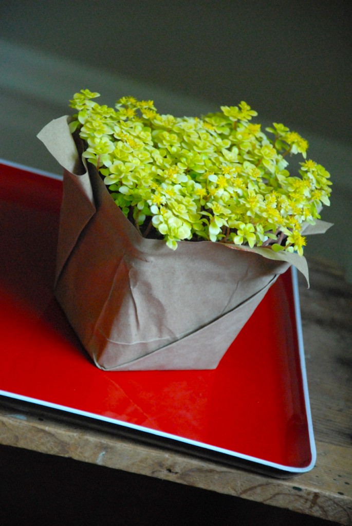 family chic planter family-chic