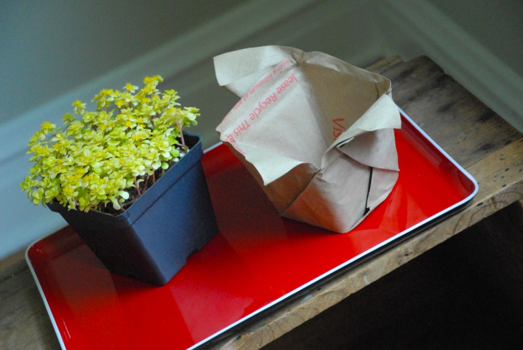 family chic planter paper family-chic.com