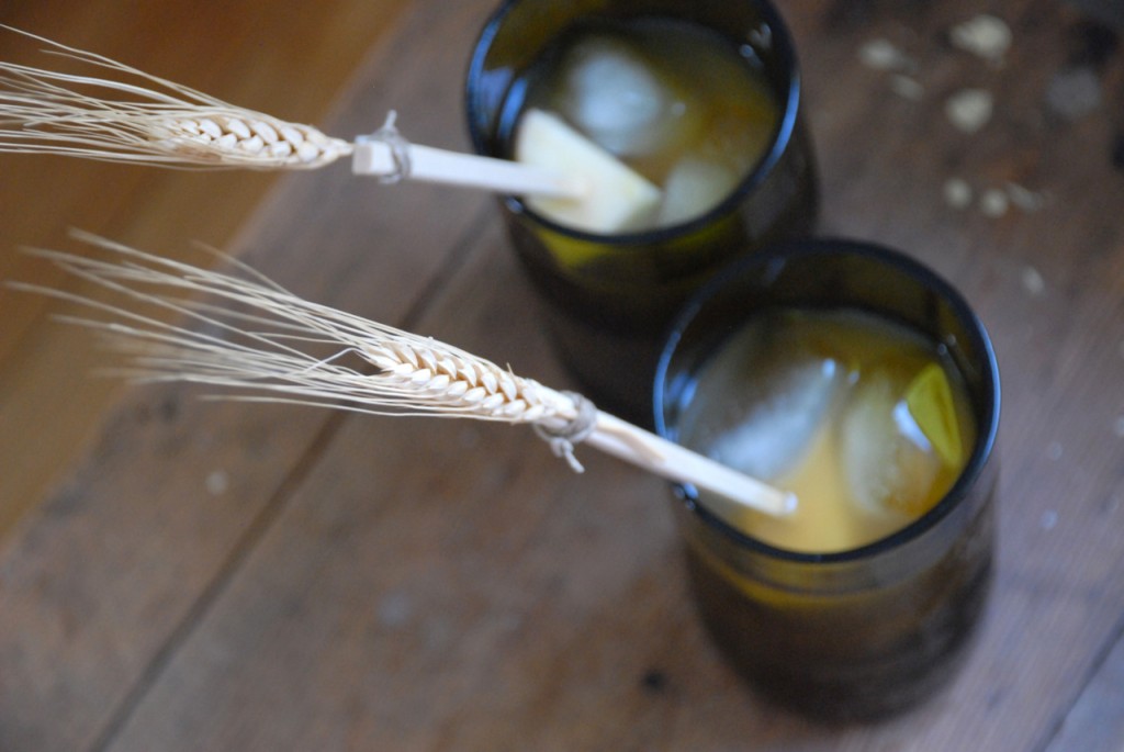 Family Chic Fall Harvest Drink Stirs www.family-chic.com