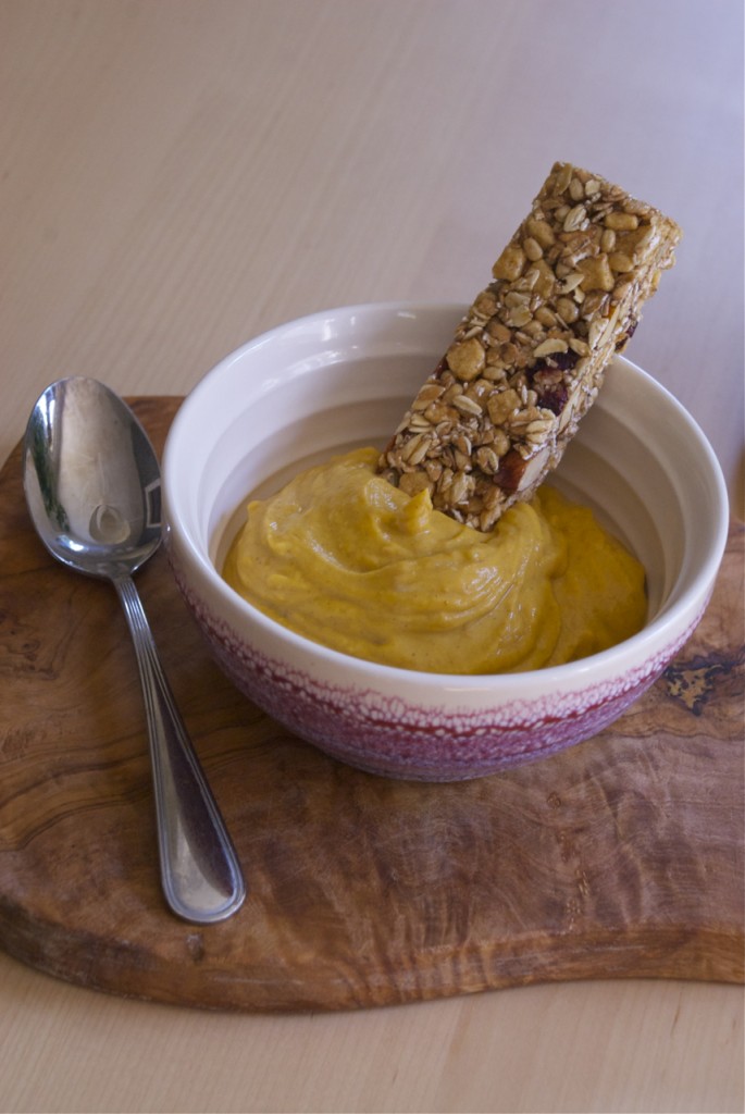 Family Chic's Pumpkin Pie Yogurt Recipe www.family-chic.com