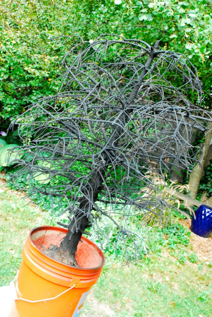 Family Chic Dead Halloween Tree www.family-chic.com