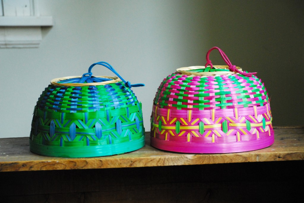 Family Chic Food Cloche Family Chic