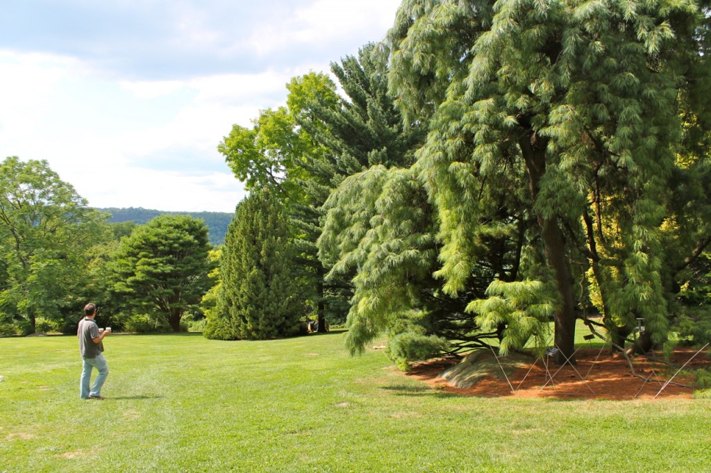 wave hill