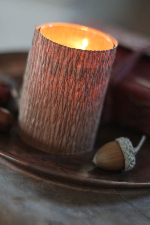 Family Chic Tree wrap (a paper wrap designed to look like bark and made to protect young trees) can be found at home improvement stores and garden centers. A 50' long roll costs about $6.00.