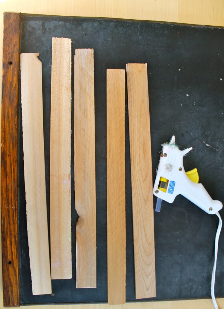 Family Chic Shim Stars and Bursts