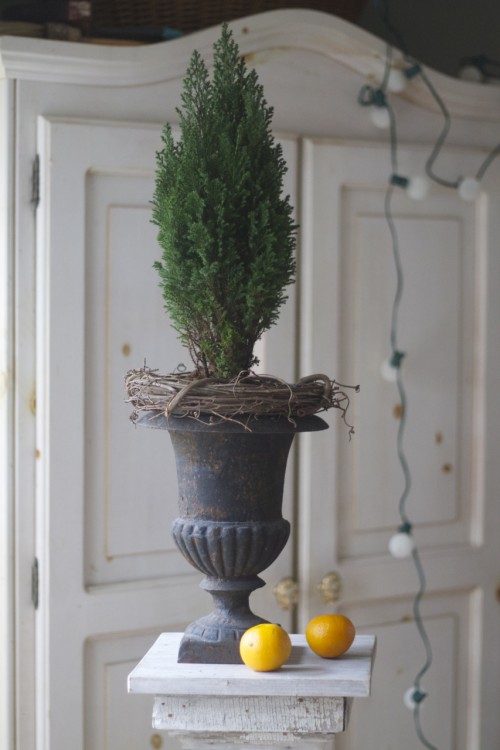 Family Chic The rim of this potted pine was sticking up above the top of my urn, so I covered it up with a wreath.