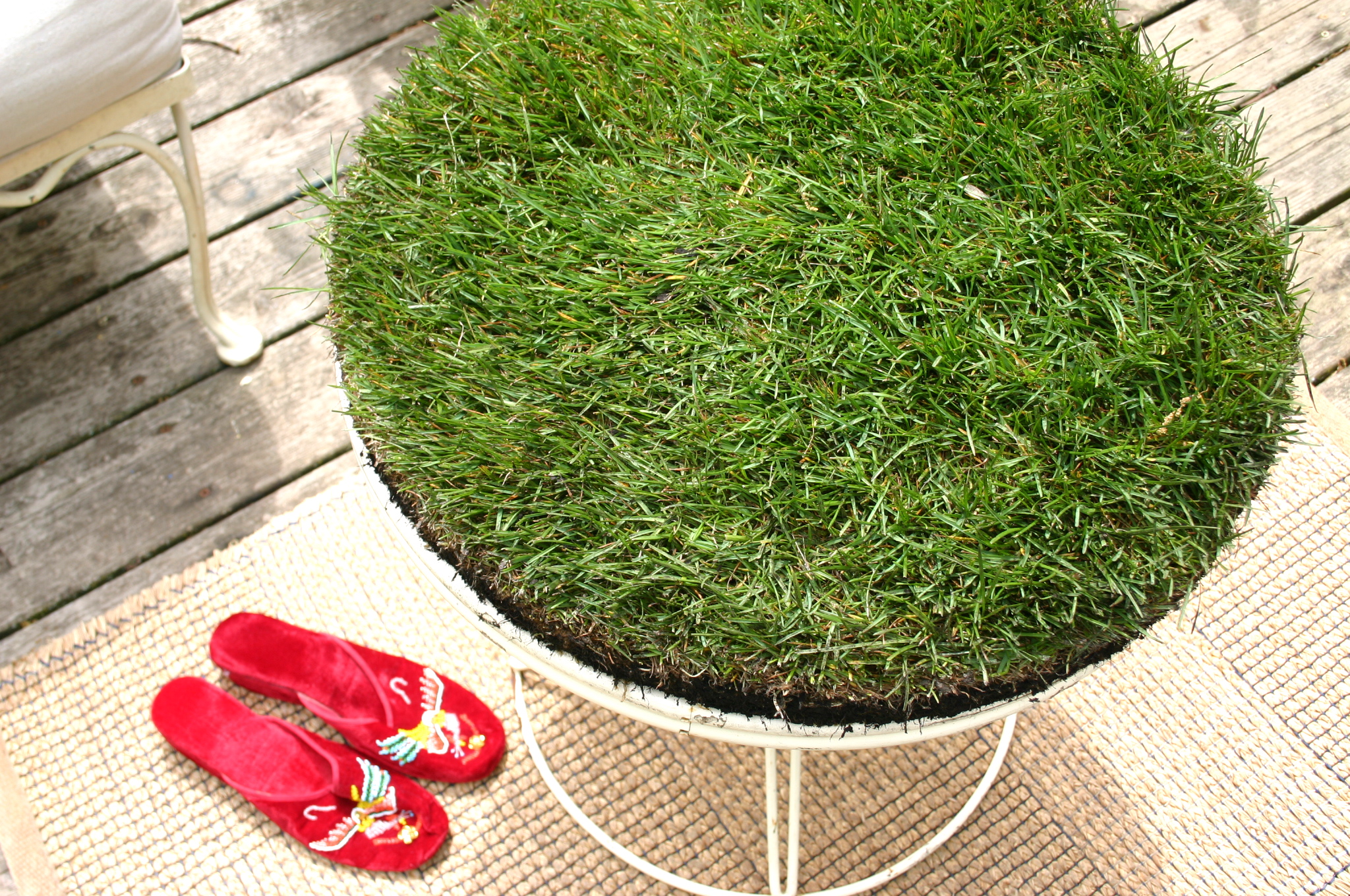 grass table top