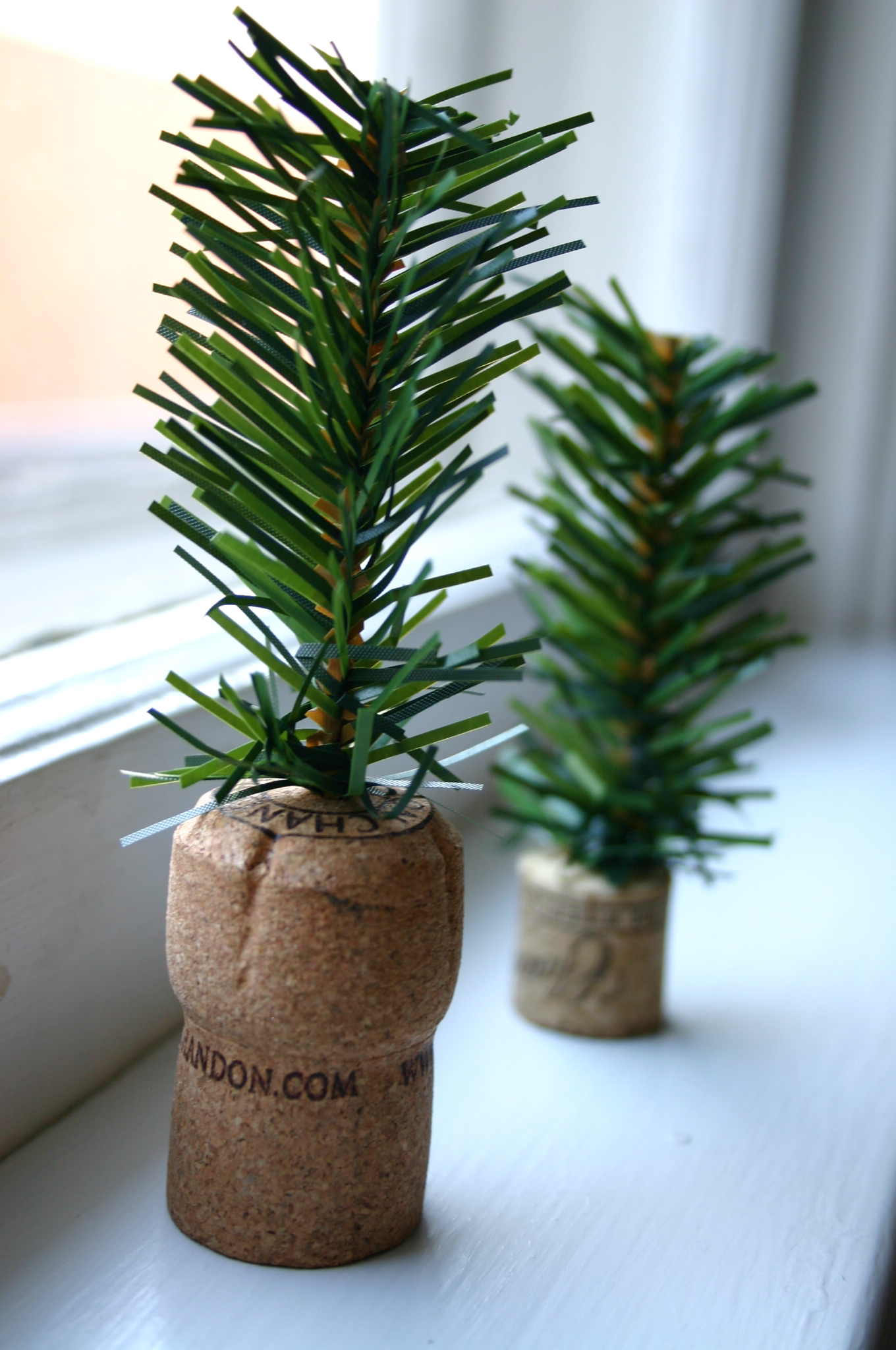 Tiny Trees | Family Chic